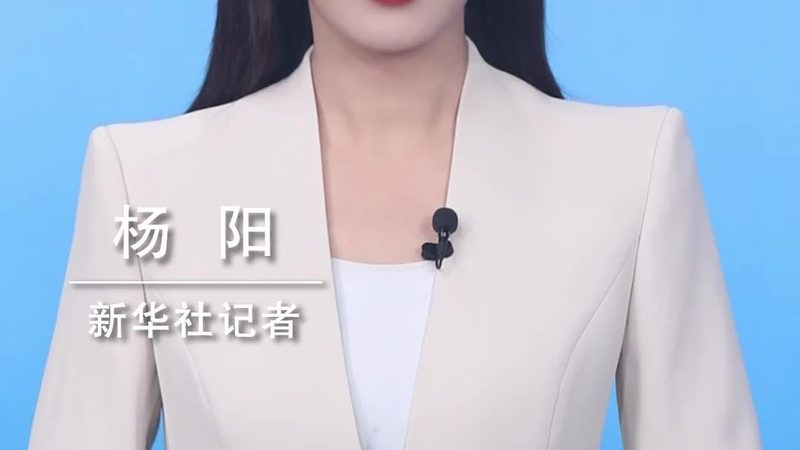 网络层负责将感知层采集到的信息传输到应用层。网络层技术标准主要包括：